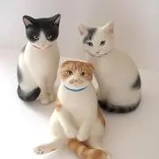 そのちんの画像
