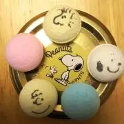 Shienの画像