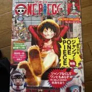 モンキー・Ｄ・ルフィ