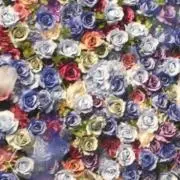 さんぴん茶の画像
