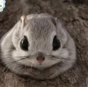 m_rieの画像