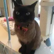 まり♪の画像