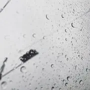 mの画像