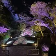 りょう0121の画像
