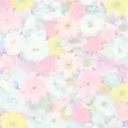 めろん@断捨離中