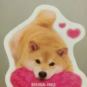 れいちゃん