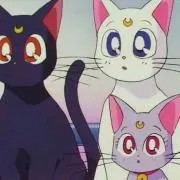 たにまるの画像