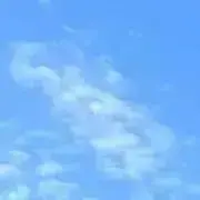 るんの画像