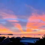 Ryuryuの画像