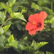 Kana〜非喫煙者・ペット無し〜の画像
