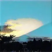 hnlの画像