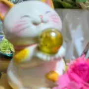 mikoの画像