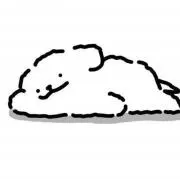 ぽもちの画像