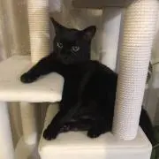 らっちゃん