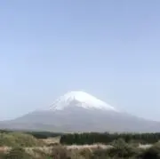 望