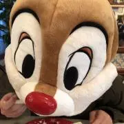 rinの画像