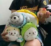 かおの画像