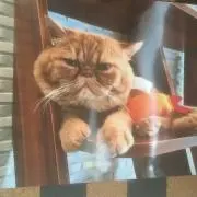 みゆきの画像