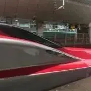 キララの画像