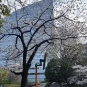 はぴはぴの画像