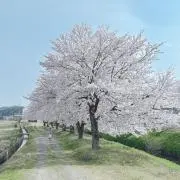 Image of ともᒼᑋªⁿ✿shop✿ꕤ︎︎·͜·