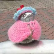 みやこの画像