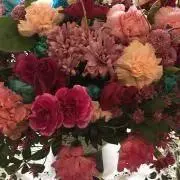よっこ(๑❛ᴗ❛๑)の画像