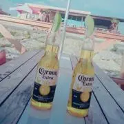 y☆a