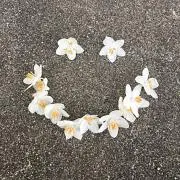 achamoの画像