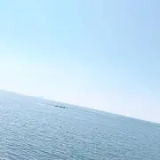 ｕｍｉの画像