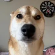 オニキスの画像