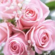 ai♡お値下げ交渉OKですの画像