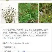 evの画像