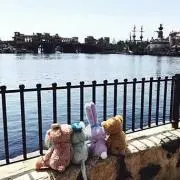 のんの画像