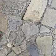 もこ