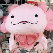 しらっぷ