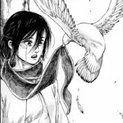 Ackermannの画像