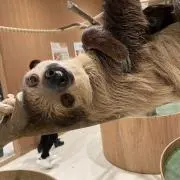 りおかの画像