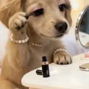 処分特価中！りmama♥の画像