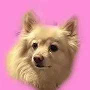 カリフォルニア☆ママの画像