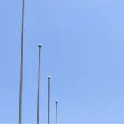 ちょびの画像