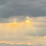 たむの画像
