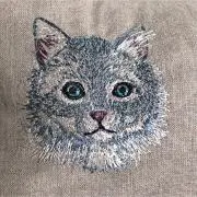 nontaroの画像