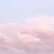 ねこの画像