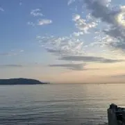 yの画像