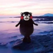 よへほの画像
