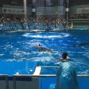 いづ ☆お値下げ交渉歓迎（╹◡╹）