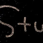 プロフ必読願います Stu☺︎︎の画像