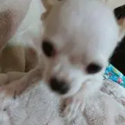 くるみ