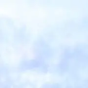 MIAの画像